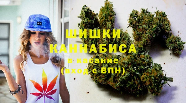 стафф Алзамай