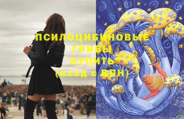 стафф Алзамай
