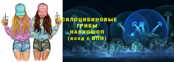 тгк Алексин
