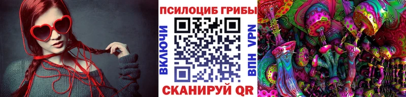 Купить закладки  Соликамск  Псилоцибиновые грибы Psilocybe 